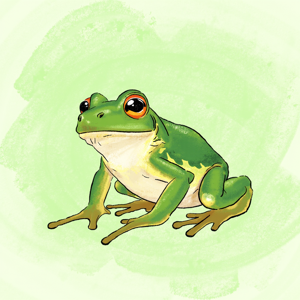 frog là gì frog là gì