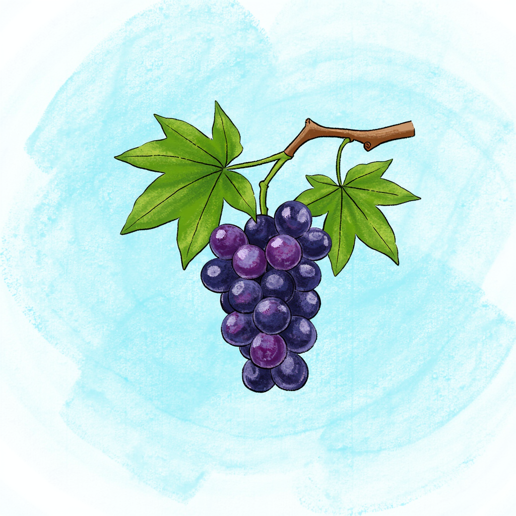 grape cách dùng grape nghĩa là gì