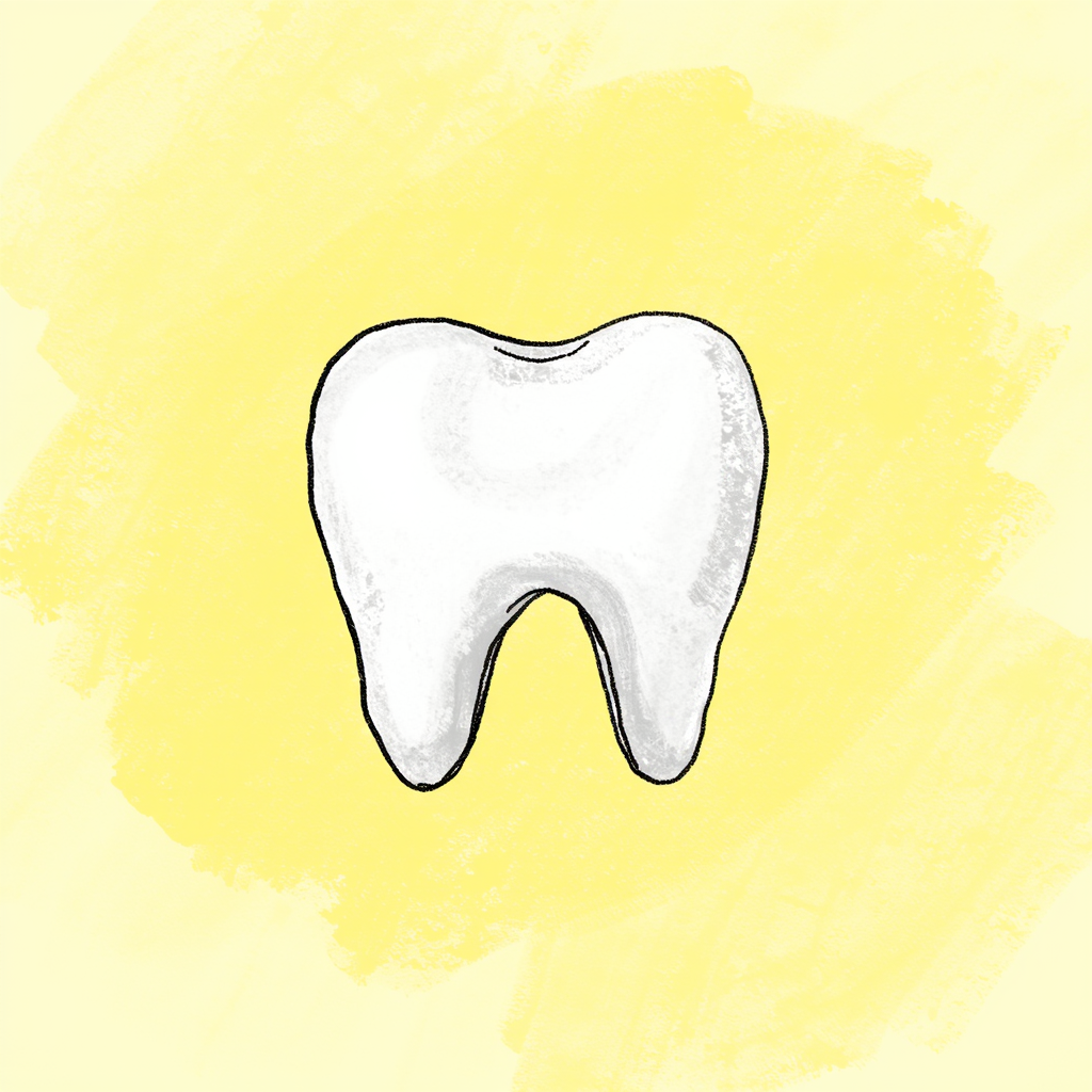 incisor nghĩa là gì