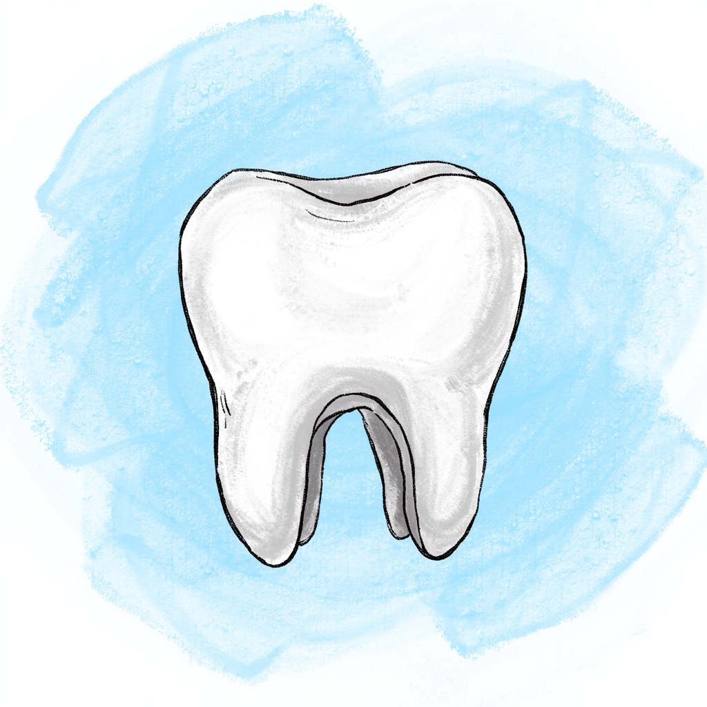 molar molar tiếng việt là gì