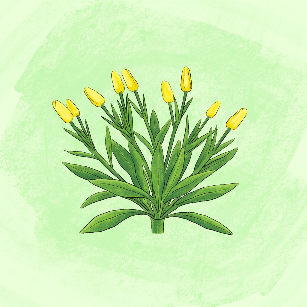 perennial là gì