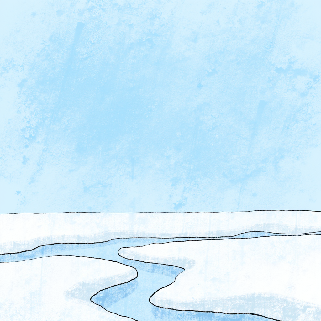 tundra
